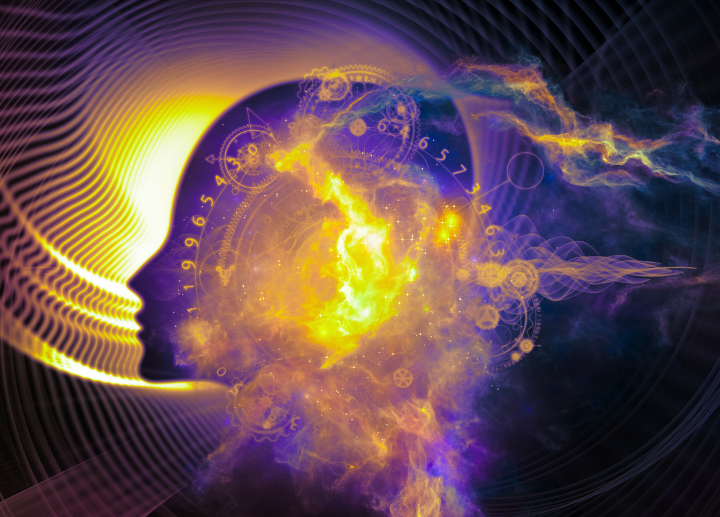 image of a face profile